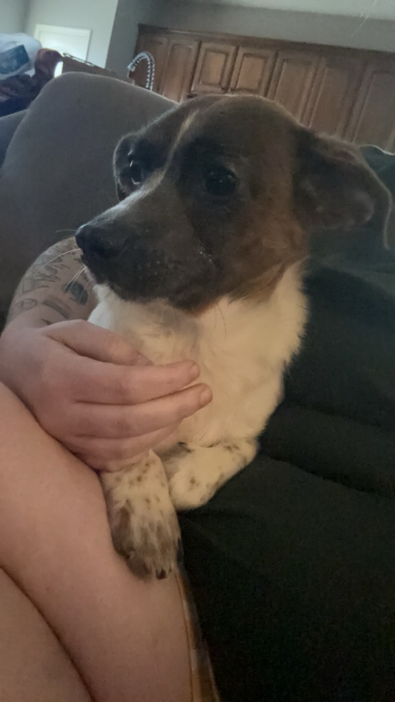 Tilly
