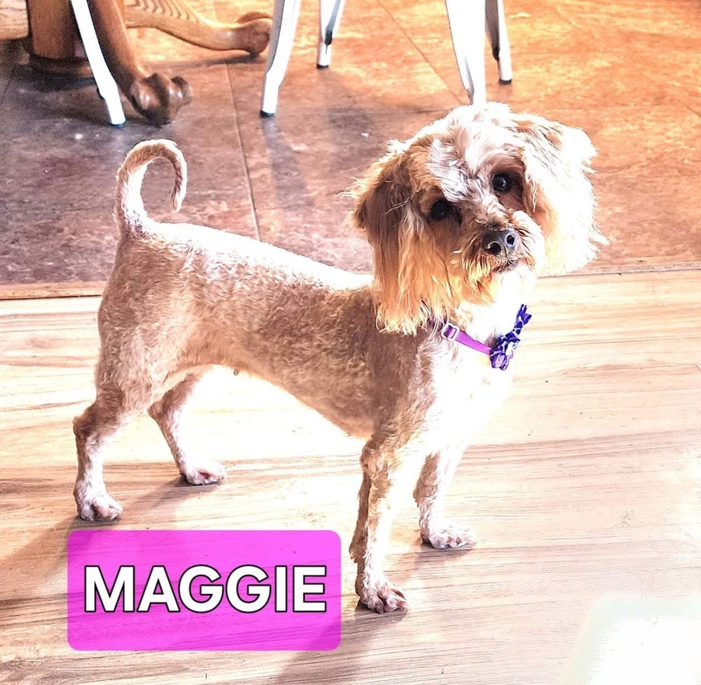 Maggie