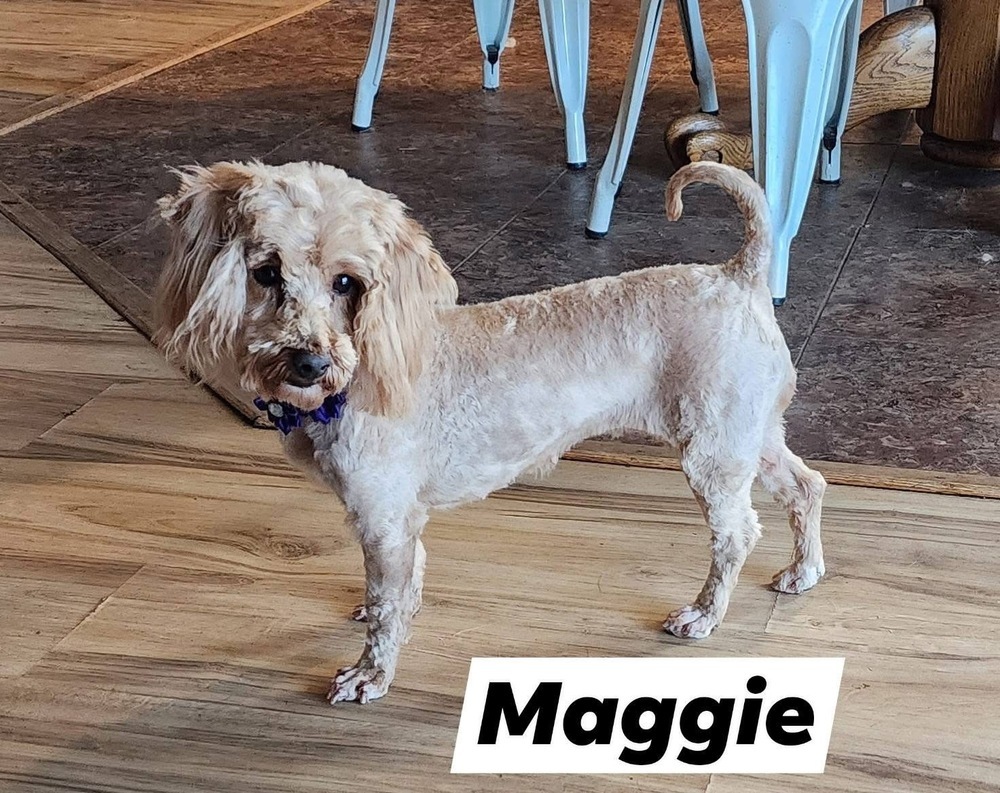 Maggie