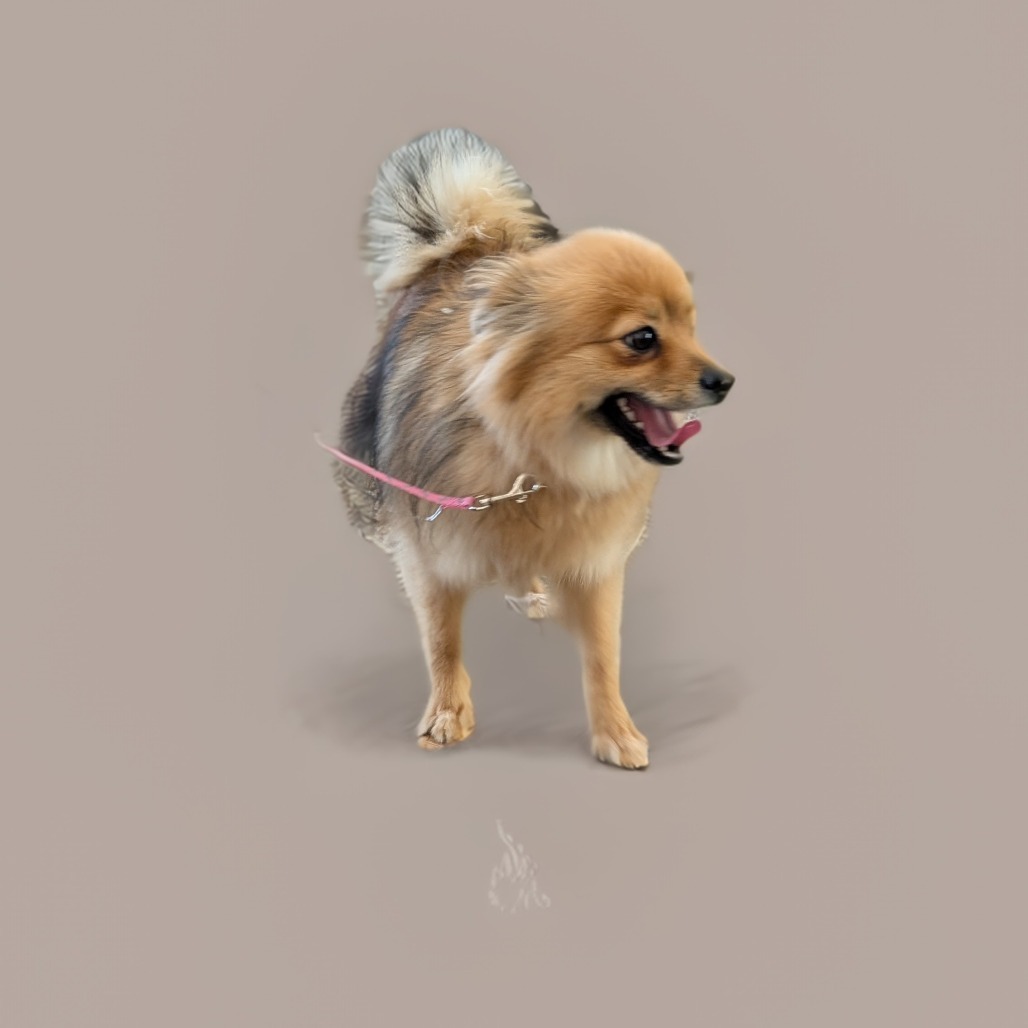 Koko