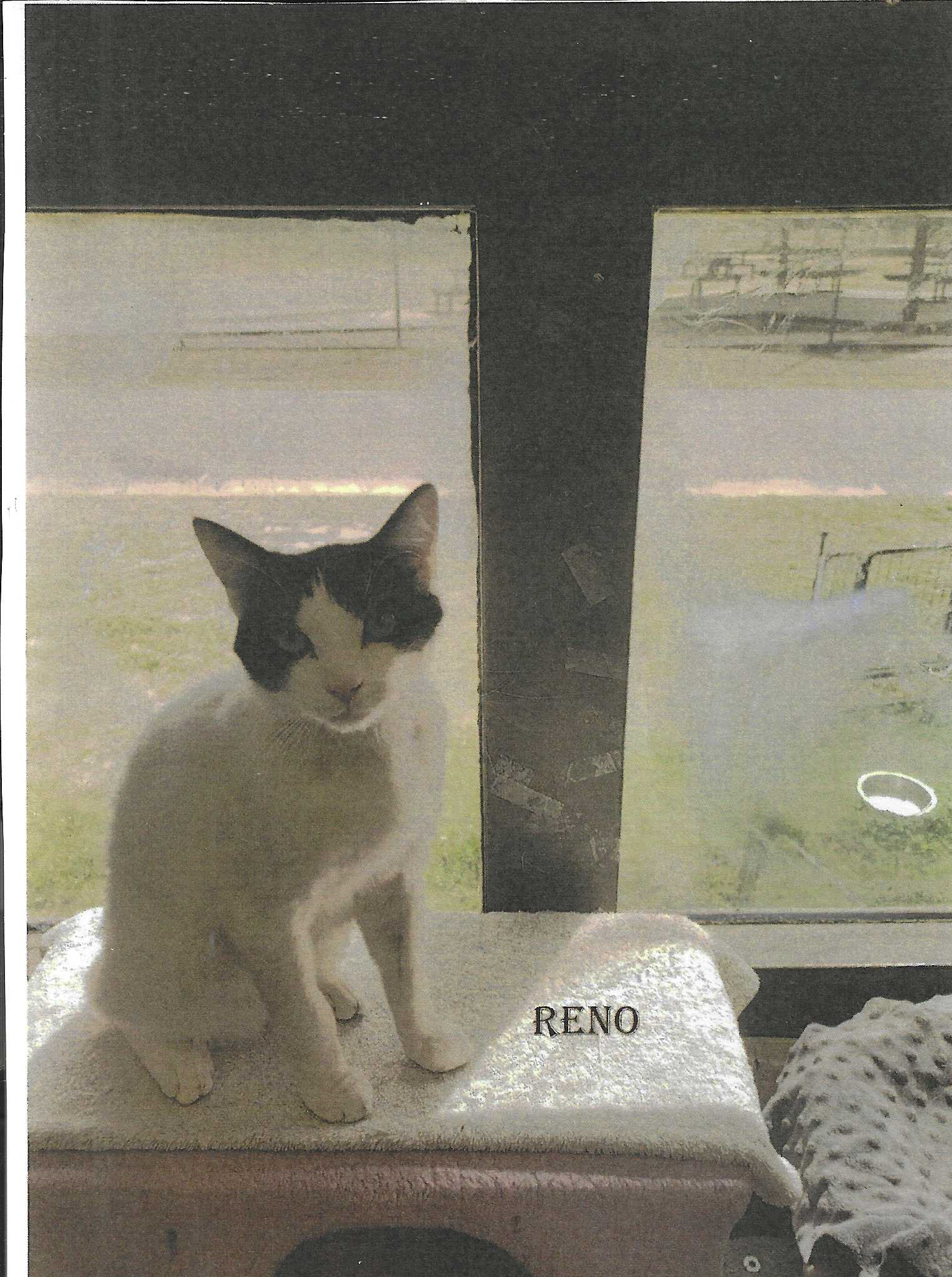 Reno