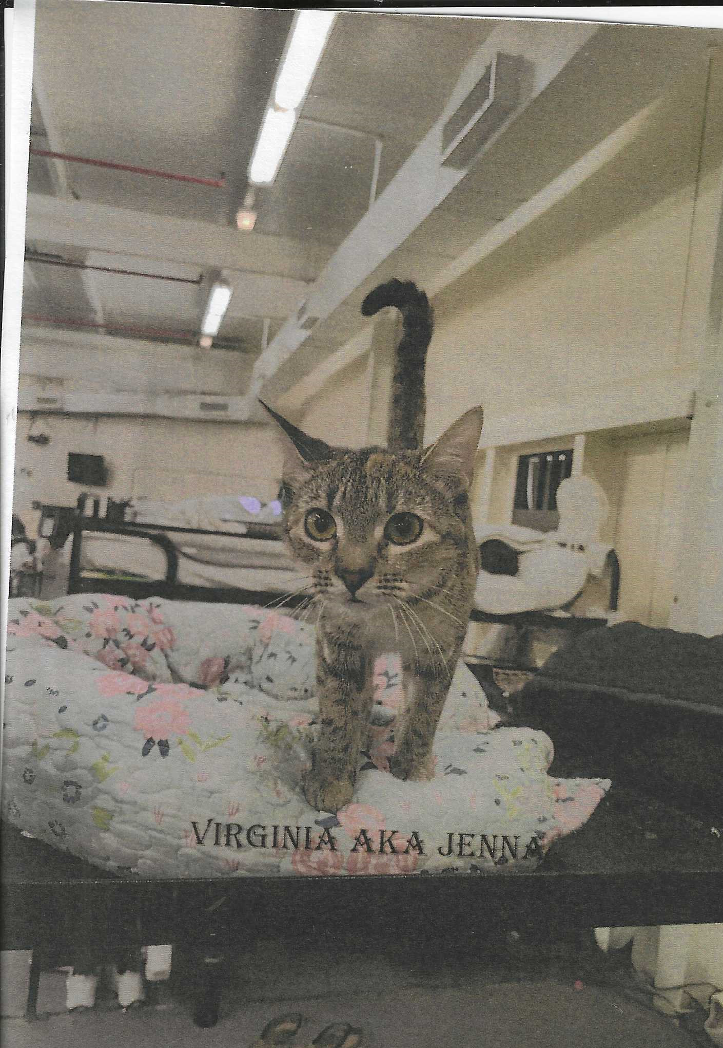 Virginia