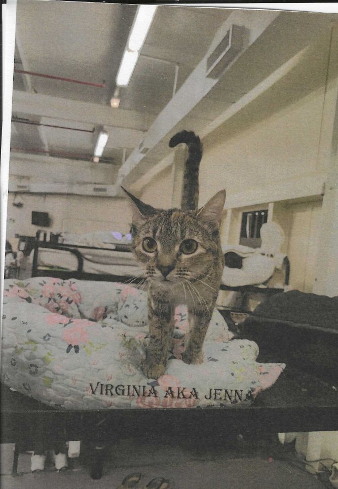 Virginia