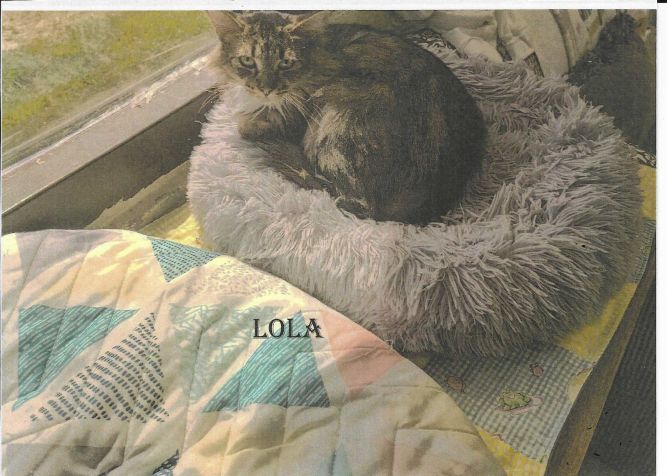 Lola