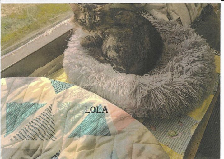Lola 1