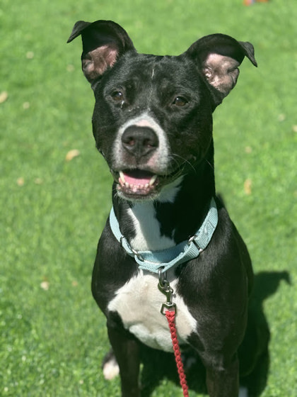 Loki 2