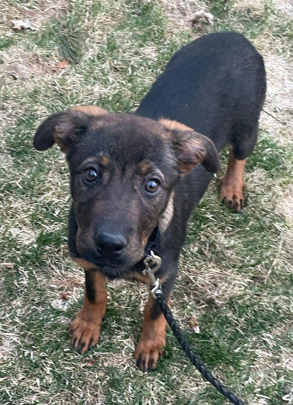 Darby