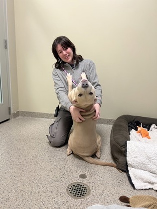 Sweetness (in foster)