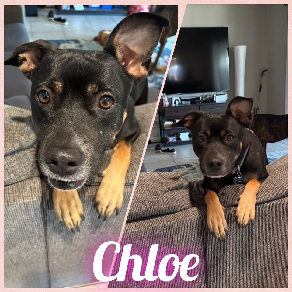Chloe