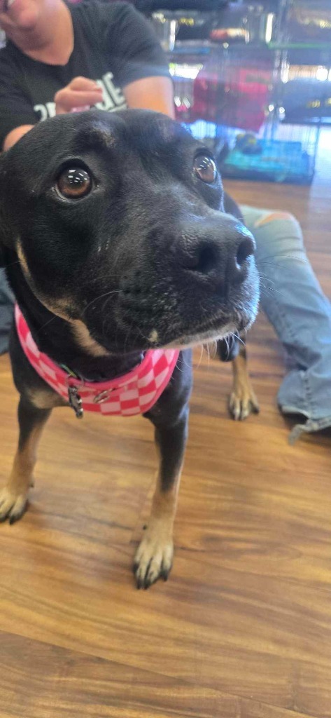 Chloe