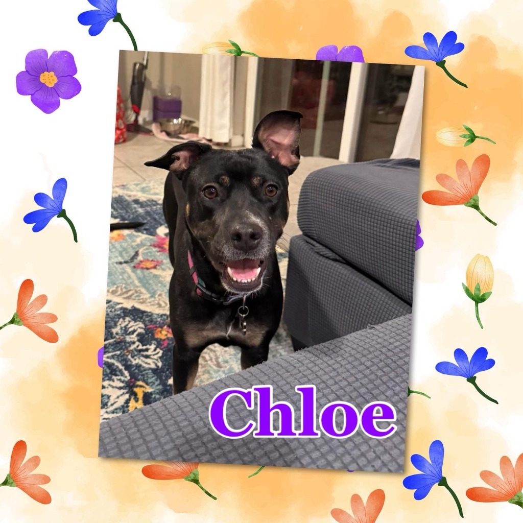 Chloe
