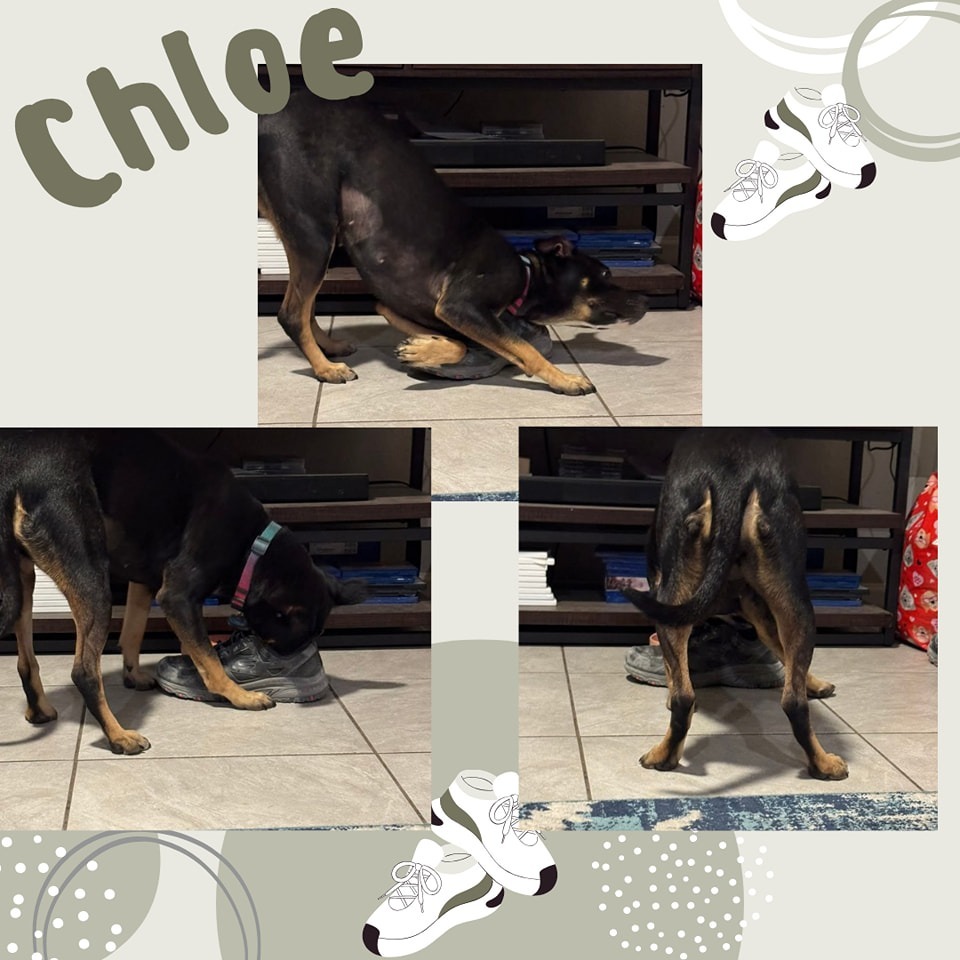 Chloe