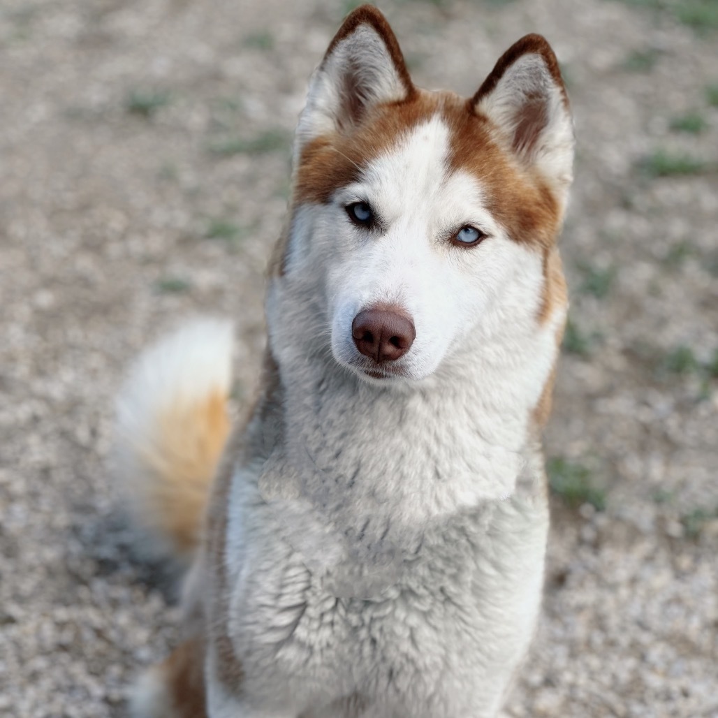 Luna