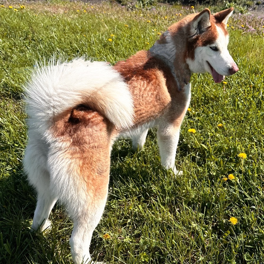 Luna