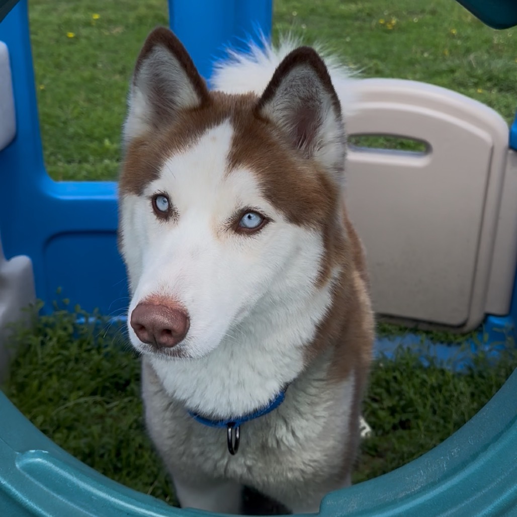 Luna