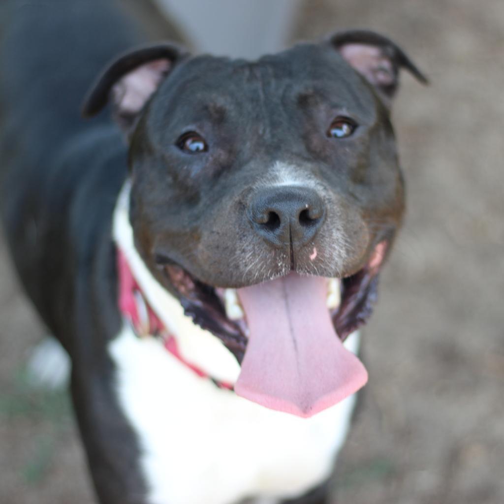 Wally (In Foster)