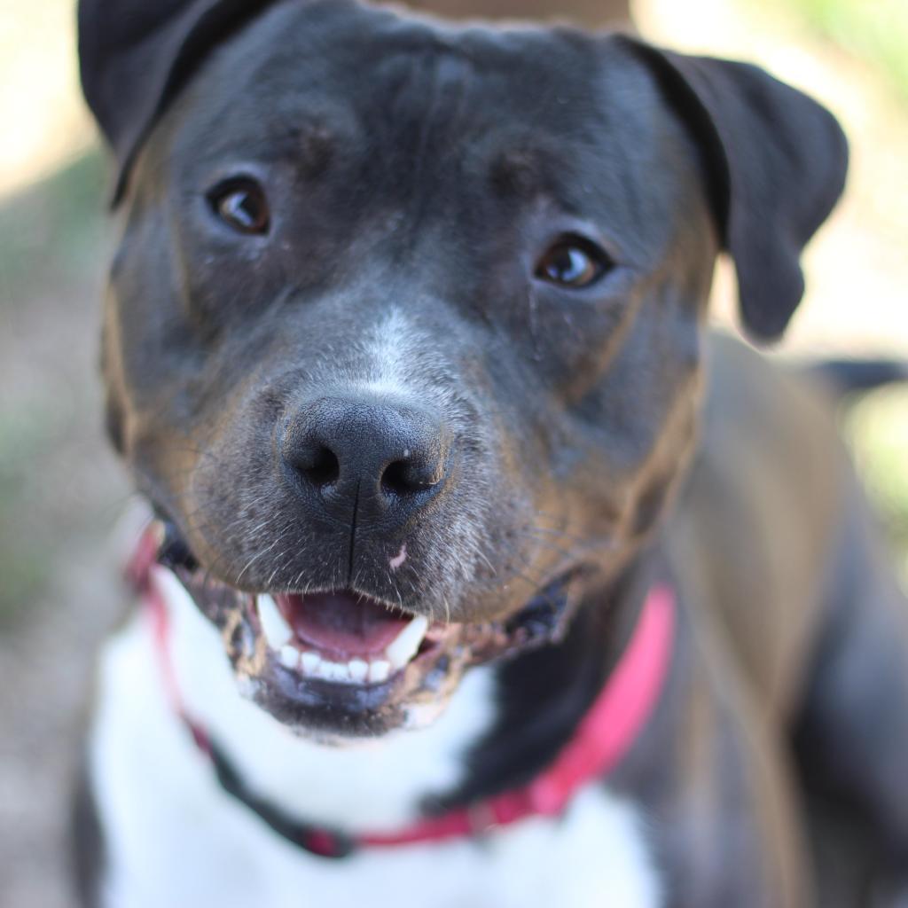 Wally (In Foster)