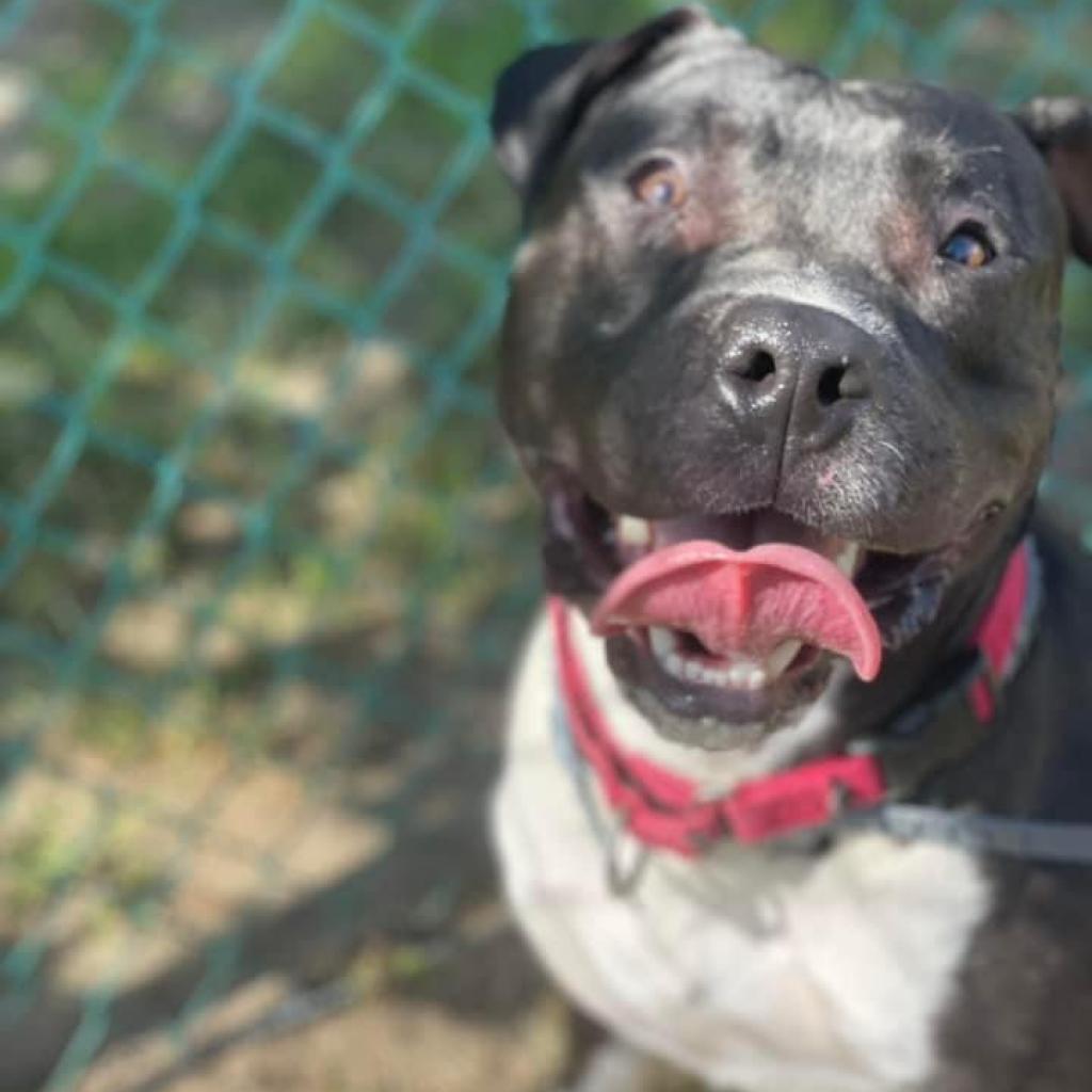 Wally (In Foster)