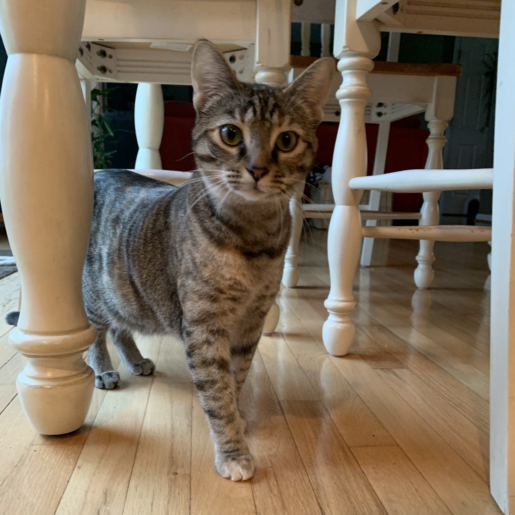 Lucille
