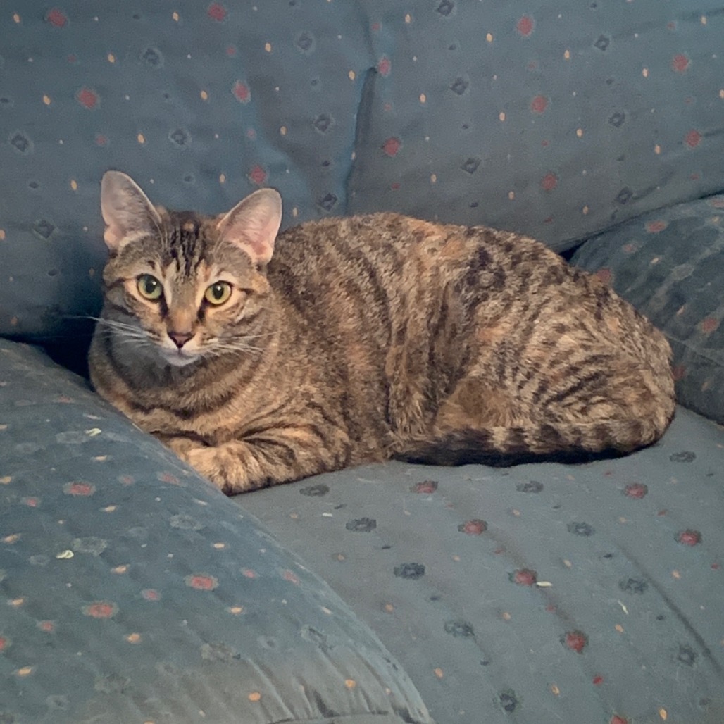 Lucille