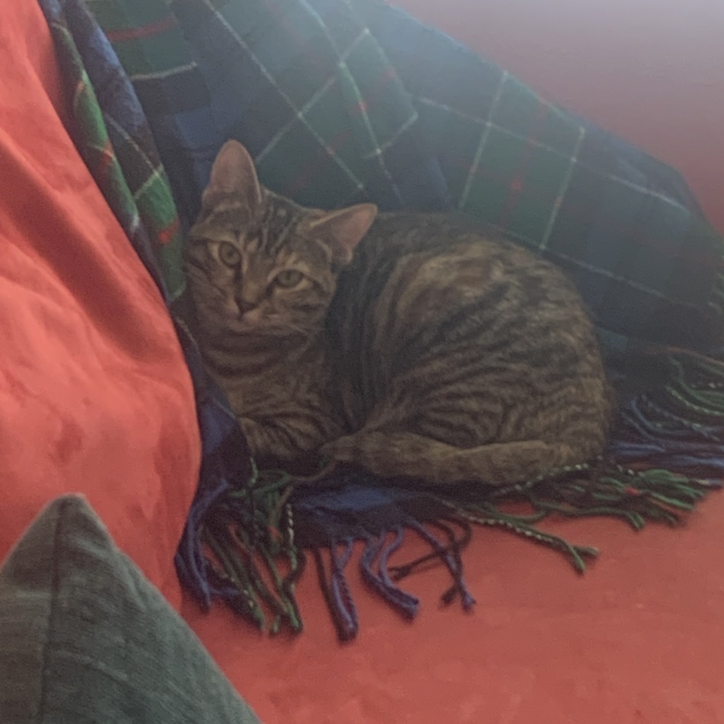 Lucille