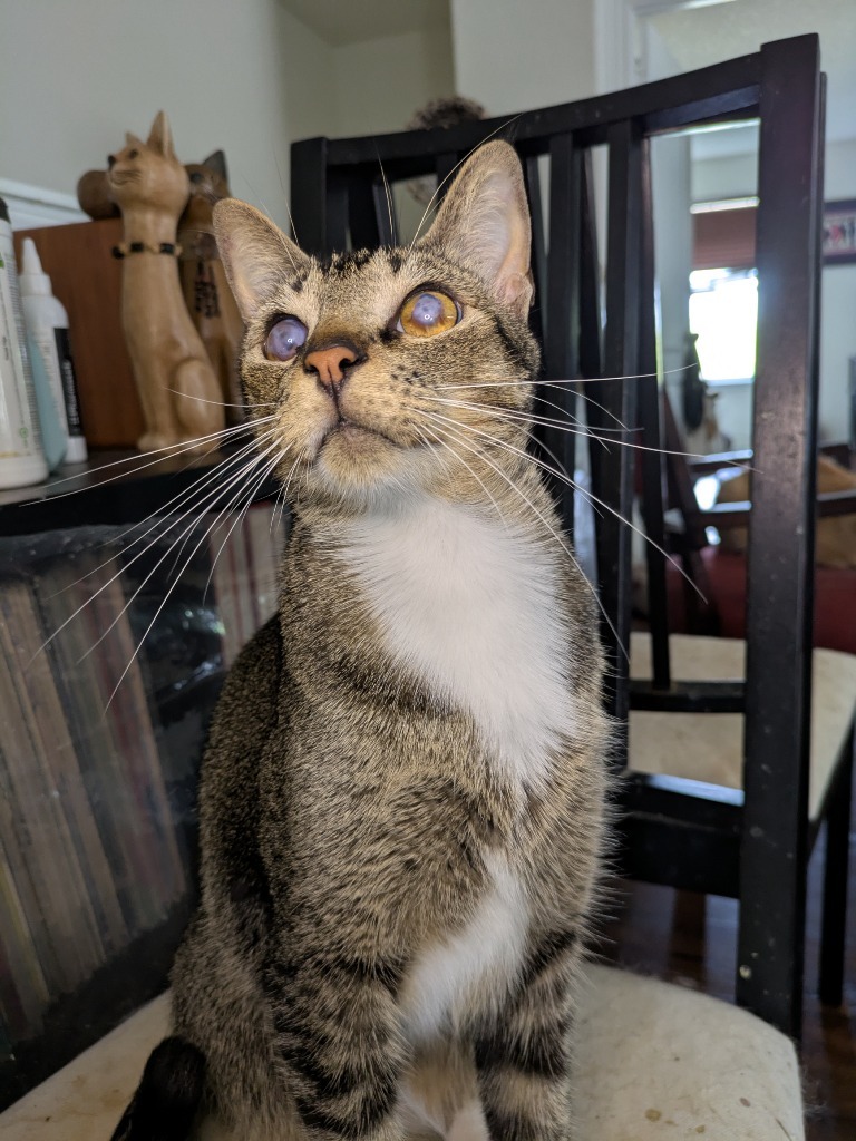 Blinkin