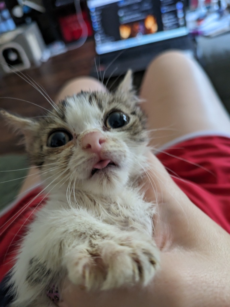 Bagel Bite