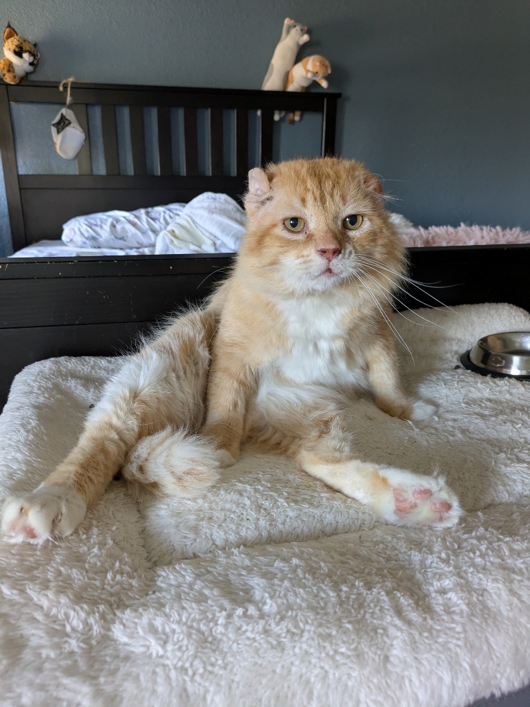 Walter McFluffy