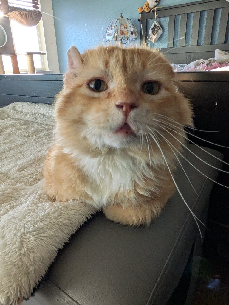 Walter McFluffy