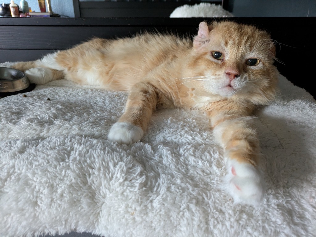 Walter McFluffy