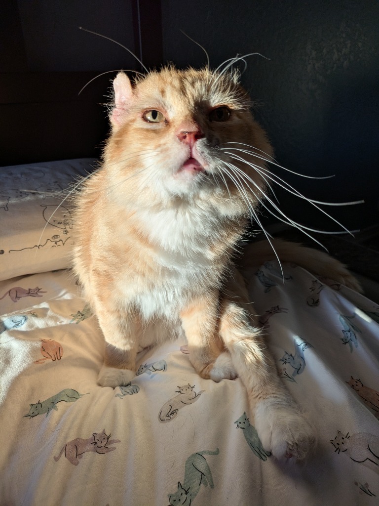 Walter McFluffy