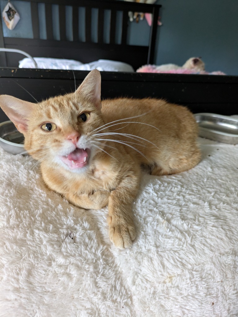 Mercury