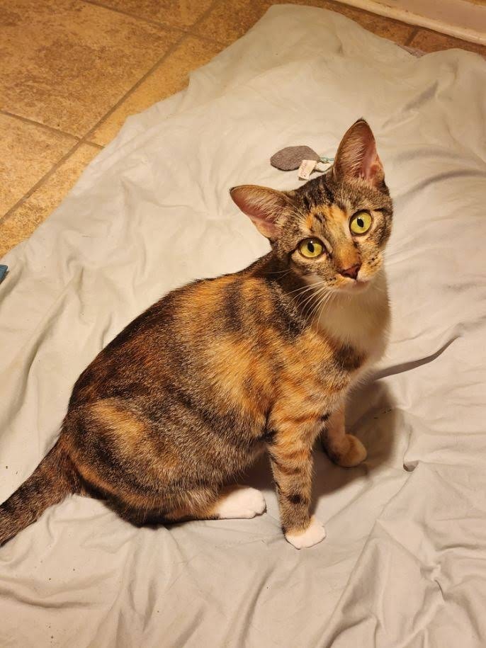 Mama Coco 4