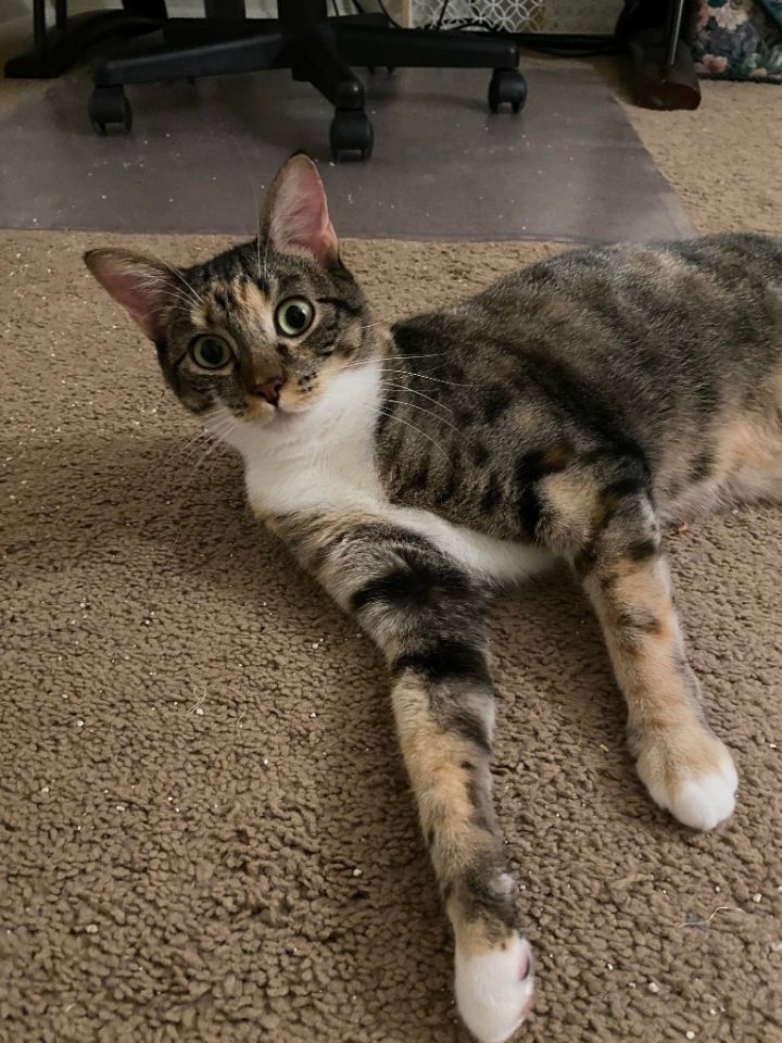 Mama Coco 5