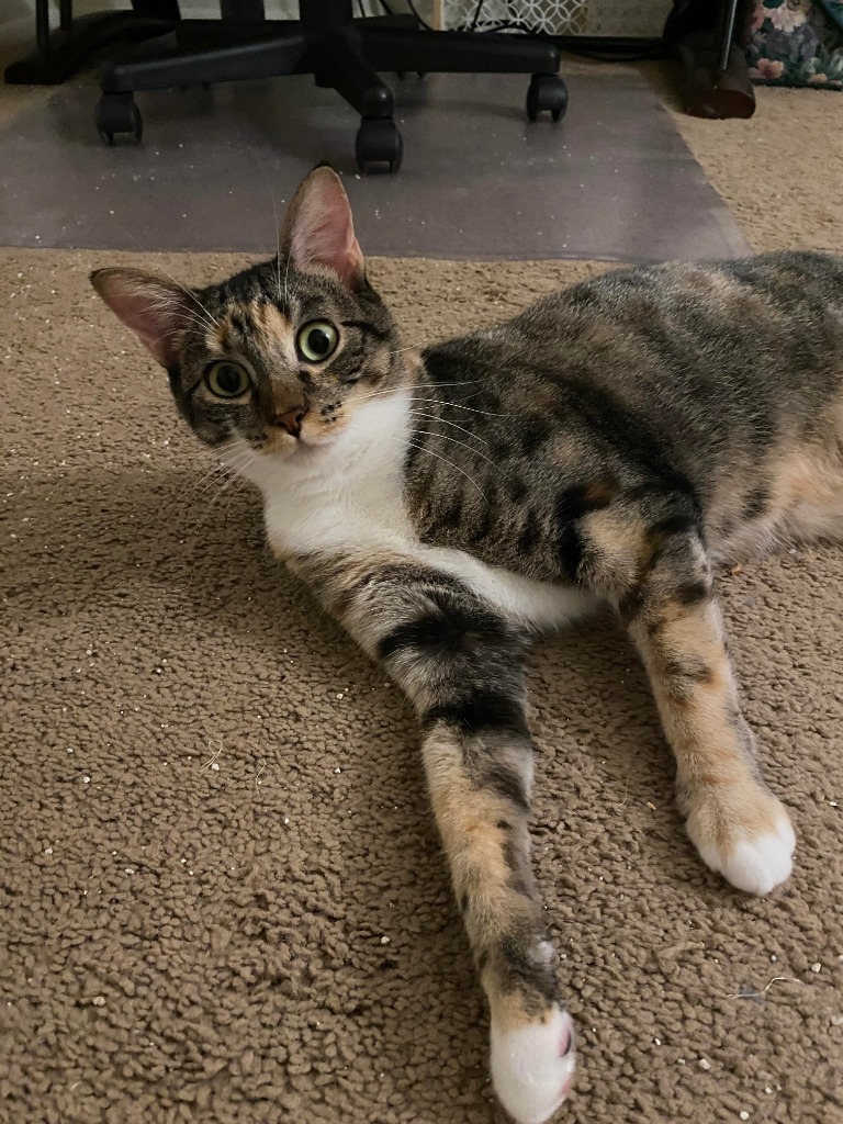 Mama Coco