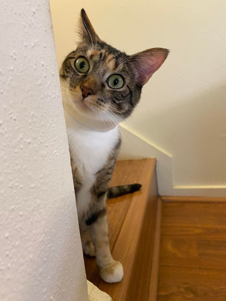 Mama Coco 6