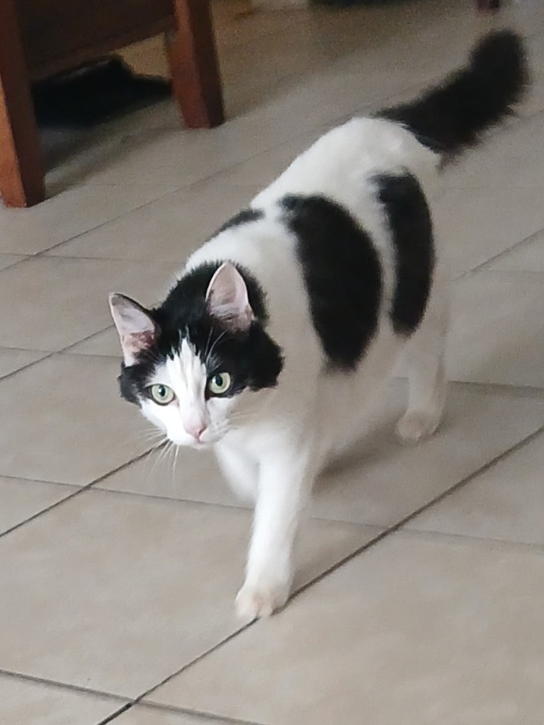 Mooie