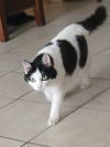 Mooie photo 2