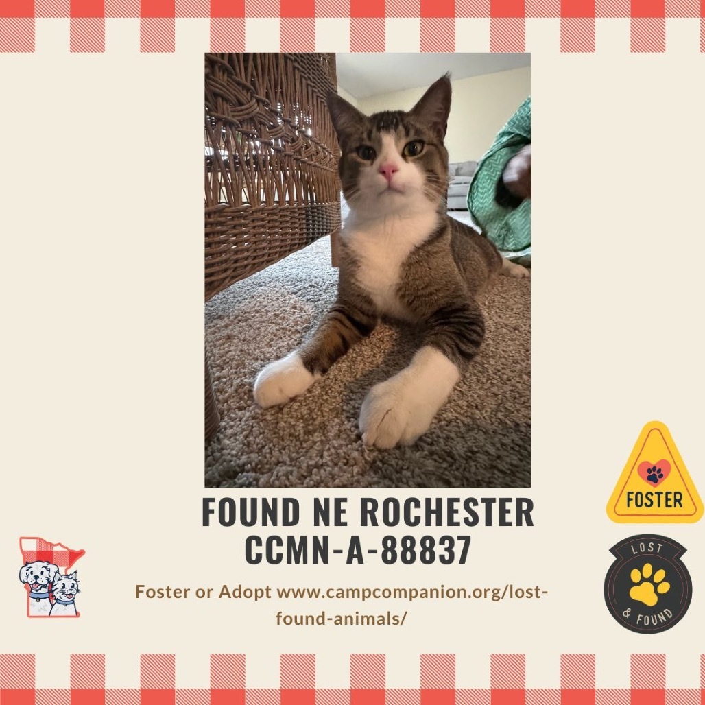 FOUND NE ROCHESTER