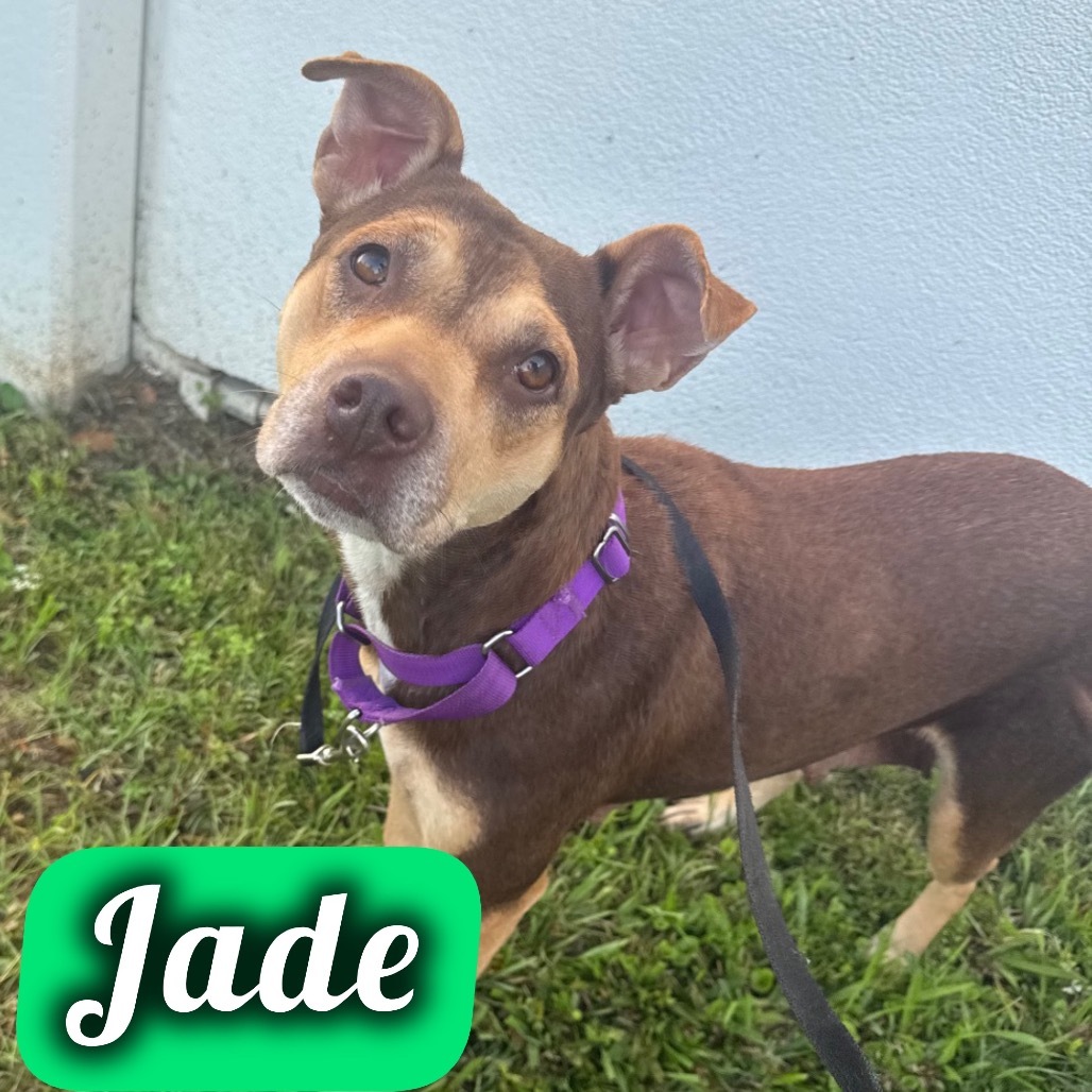 Jade