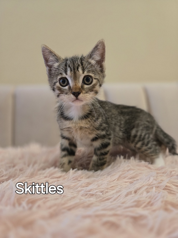 Skittles