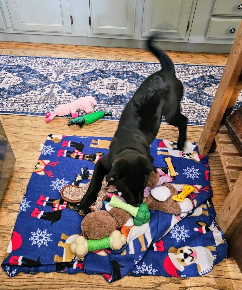 Rico
