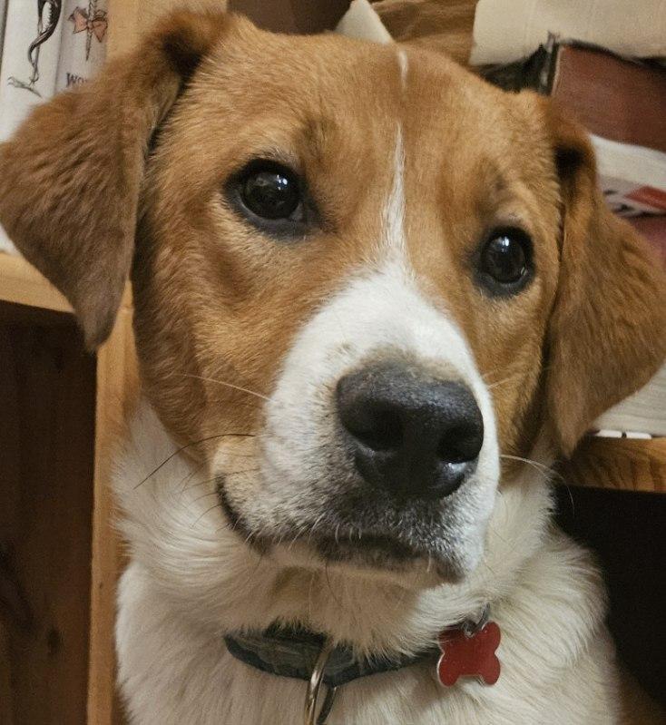 Trevor
