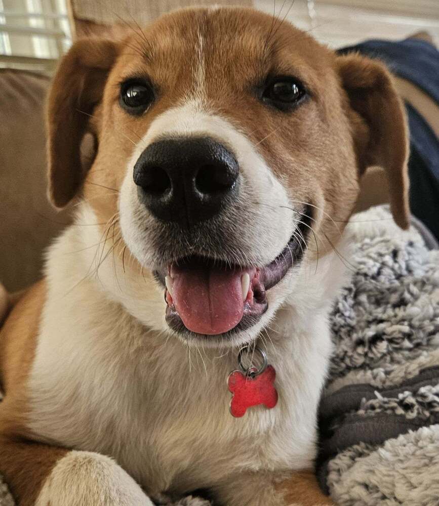 Trevor