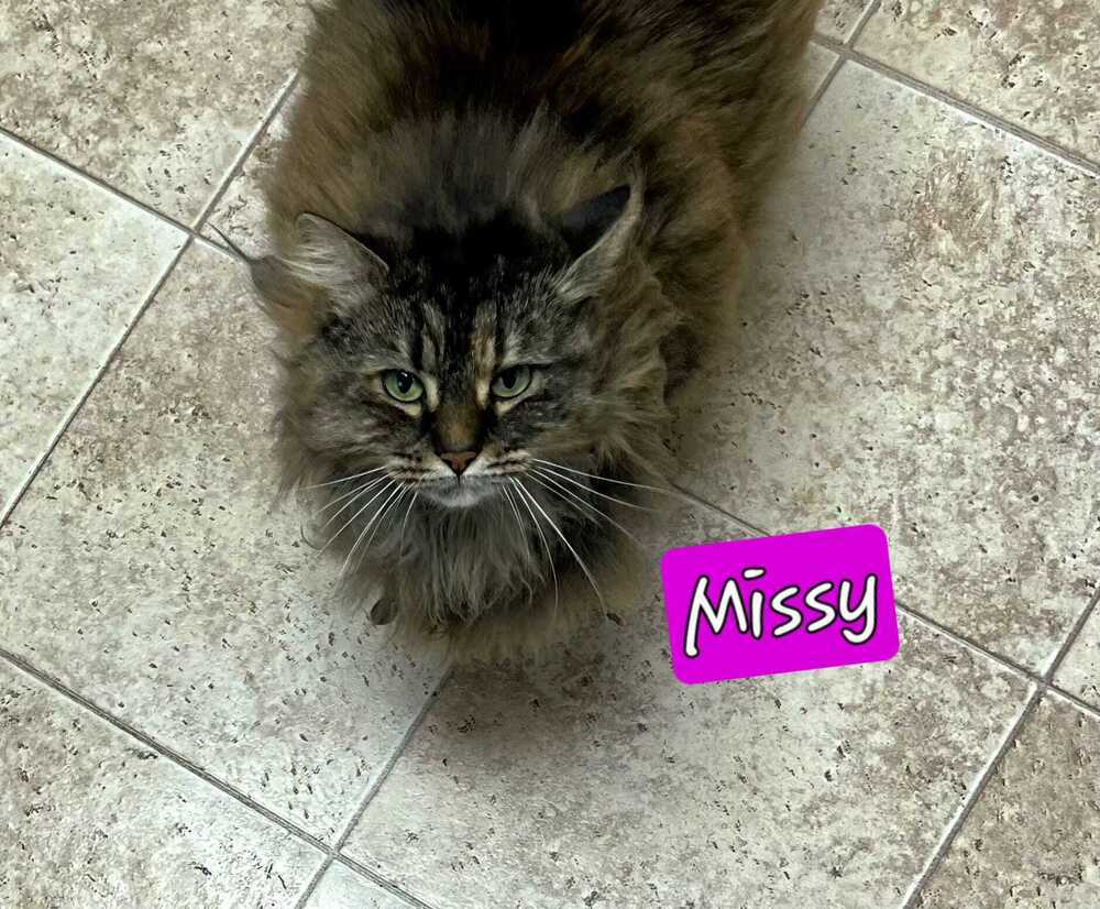 Missy