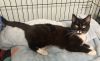 Cathy-now in foster care photo 1