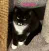Cathy-now in foster care photo 2
