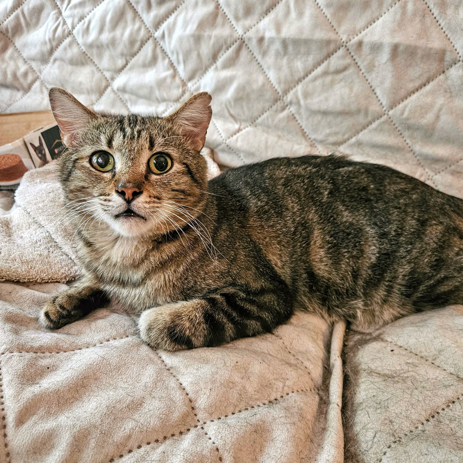 Dexter