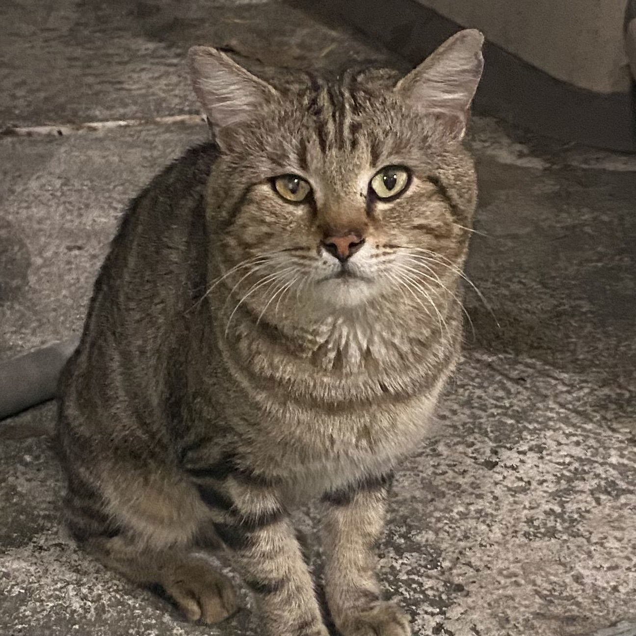 Dexter