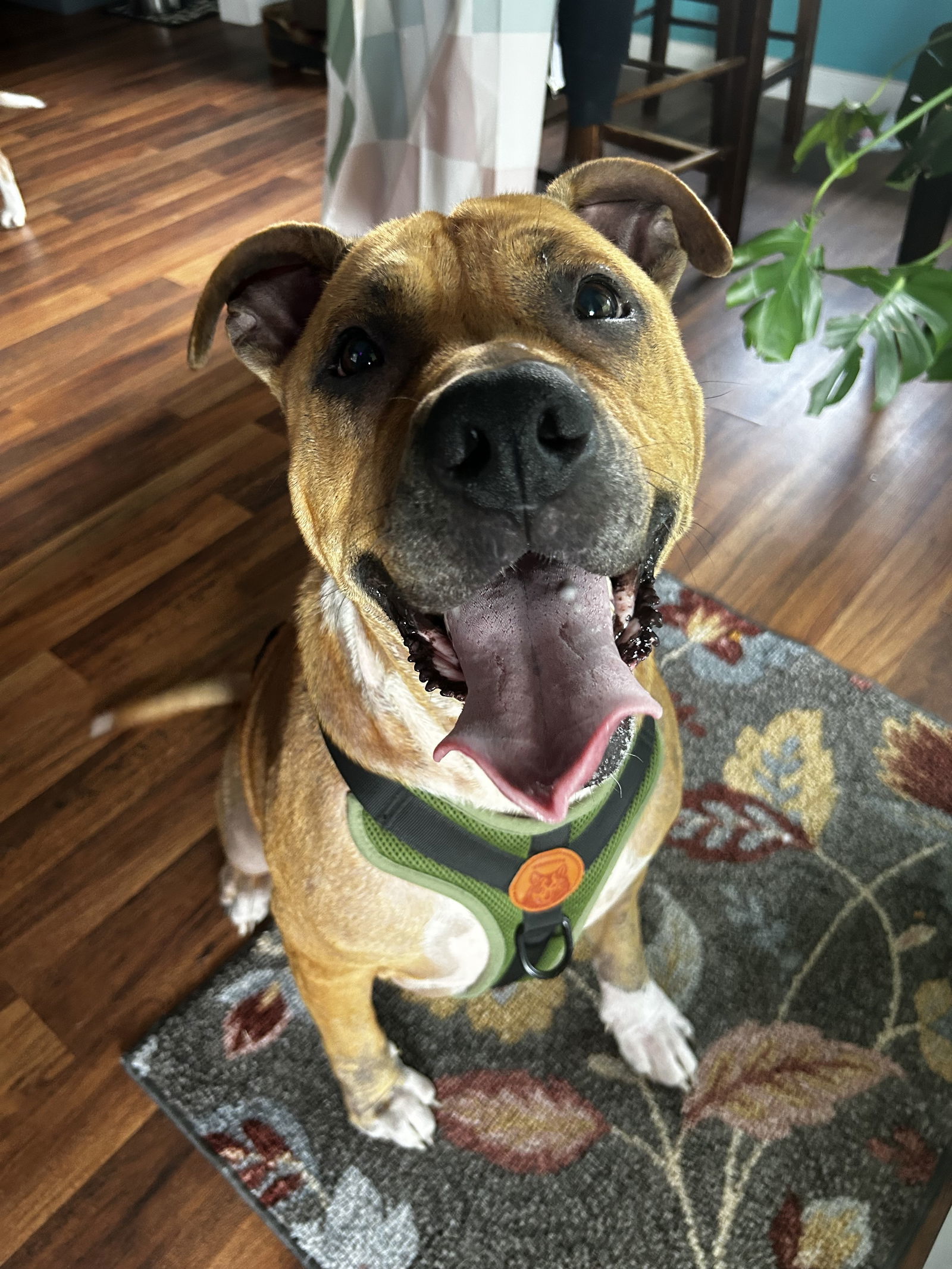 KRONK